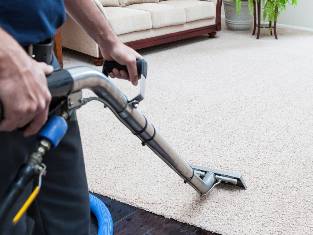Professional carpet cleaning and deodorising carpets on the Sunshine Coast